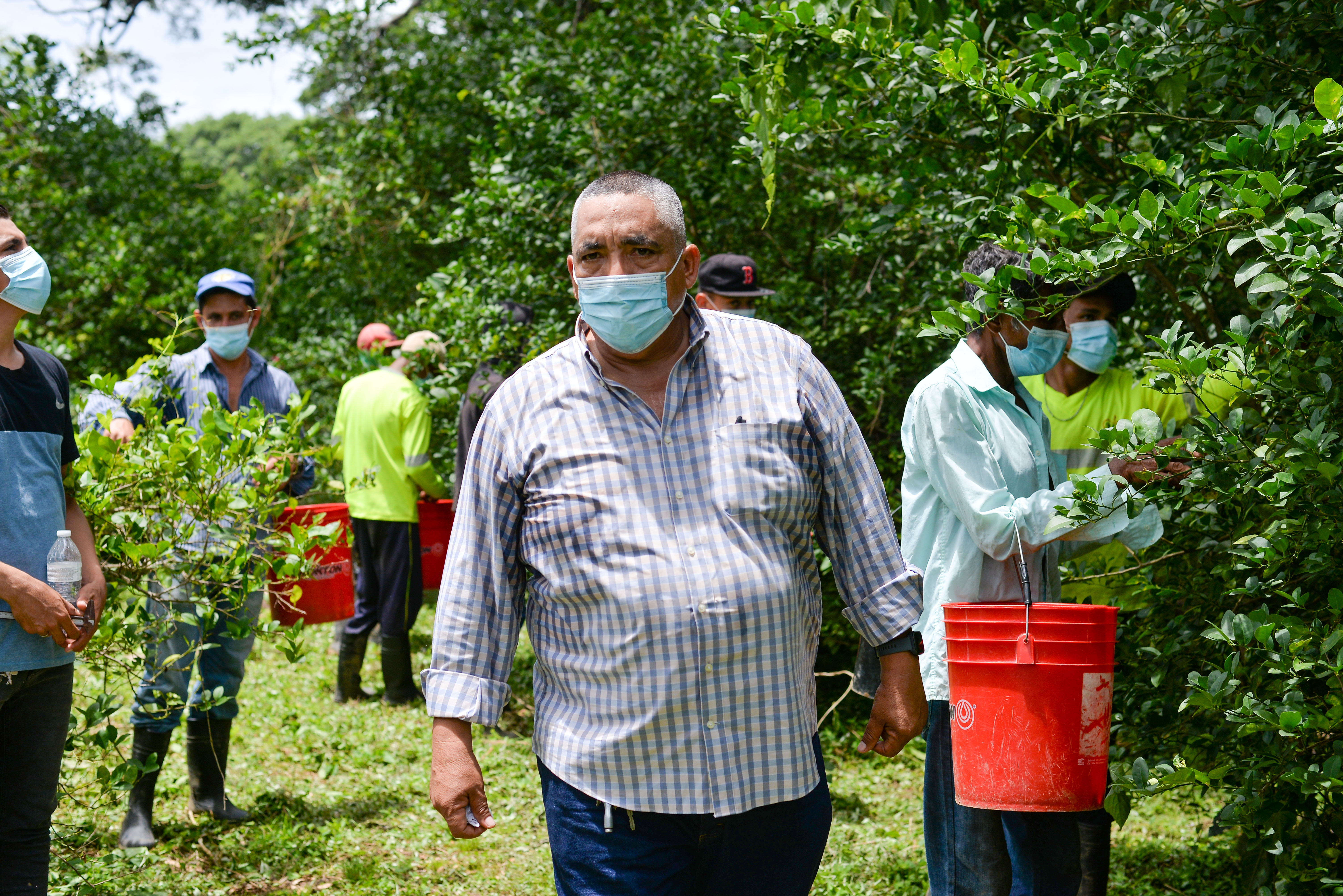 La “mina” de limones en Nicaragua